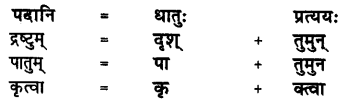 NCERT Solutions for Class 8 Sanskrit Chapter 5 कण्टकेनैव कण्टकम् Q7.3