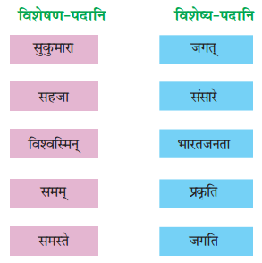 NCERT Solutions for Class 8 Sanskrit Chapter 7 भारतजनताऽहम् Q5