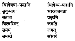 NCERT Solutions for Class 8 Sanskrit Chapter 7 भारतजनताऽहम् Q5.1