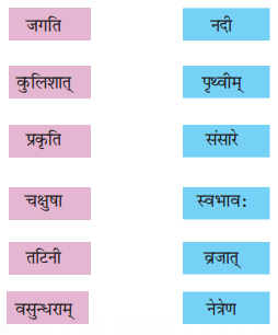 NCERT Solutions for Class 8 Sanskrit Chapter 7 भारतजनताऽहम् Q6