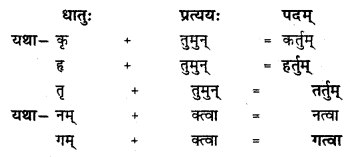 NCERT Solutions for Class 8 Sanskrit Chapter 8 संसारसागरस्य नायकाः Q6.1