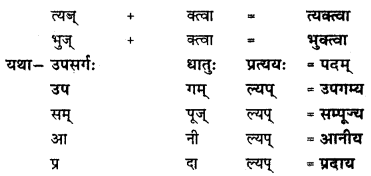 NCERT Solutions for Class 8 Sanskrit Chapter 8 संसारसागरस्य नायकाः Q6.2