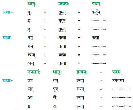 NCERT Solutions for Class 8 Sanskrit Chapter 8 संसारसागरस्य नायकाः Q6