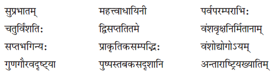 NCERT Solutions for Class 8 Sanskrit Chapter 9 सप्तभगिन्यः Q1
