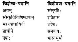 NCERT Solutions for Class 8 Sanskrit Chapter 9 सप्तभगिन्यः Q7