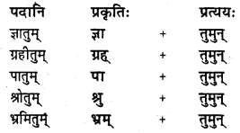 NCERT Solutions for Class 8 Sanskrit Chapter 9 सप्तभगिन्यः Q3.1