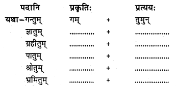 NCERT Solutions for Class 8 Sanskrit Chapter 9 सप्तभगिन्यः Q3