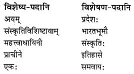 NCERT Solutions for Class 8 Sanskrit Chapter 9 सप्तभगिन्यः Q7.1