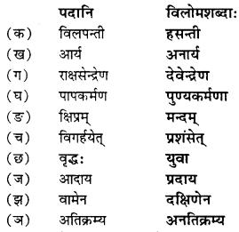 NCERT Solutions for Class 9 Sanskrit Shemushi Chapter 10 जटायोः शौर्यम् 6