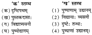 NCERT Solutions for Class 9 Sanskrit Shemushi Chapter 6 भ्रान्तो बालः 1