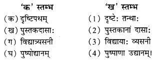 NCERT Solutions for Class 9 Sanskrit Shemushi Chapter 6 भ्रान्तो बालः 2
