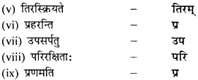 NCERT Solutions for Class 9 Sanskrit Shemushi Chapter 7 प्रत्यभिज्ञानम् 3