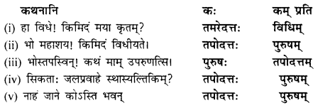 NCERT Solutions for Class 9 Sanskrit Shemushi Chapter 9 सिकतासेतुः 2