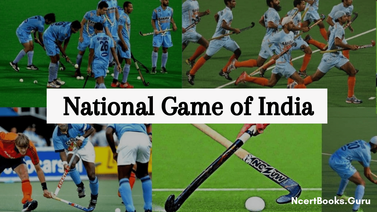 essay on india's national game