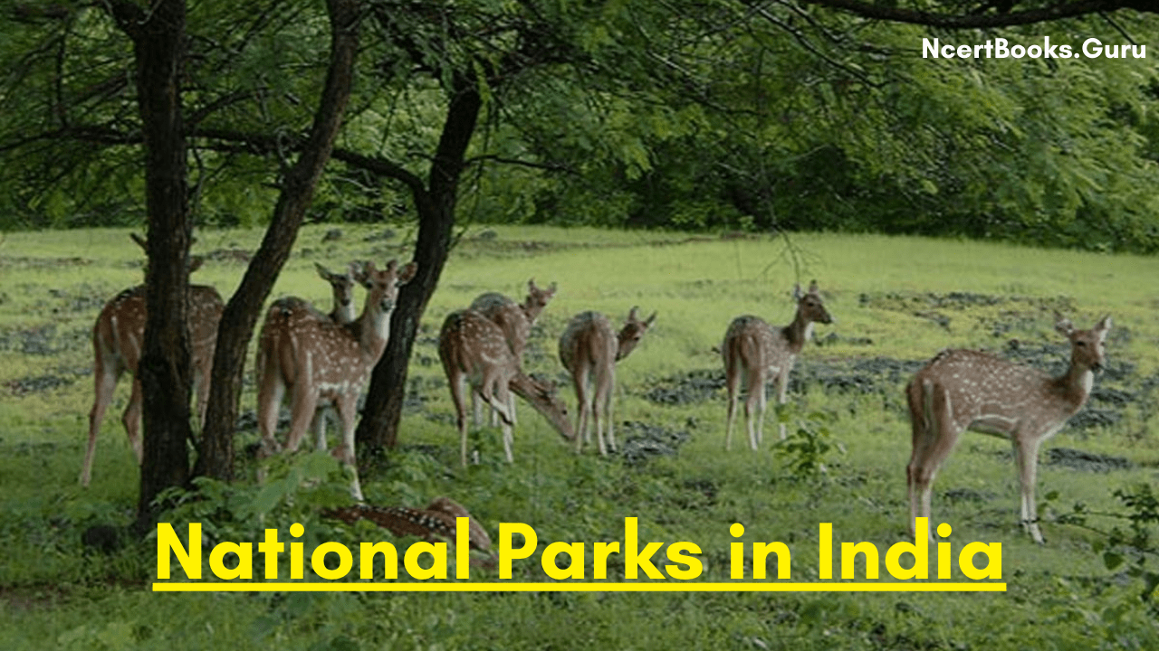 National Parks in India | Complete List of Indian National Parks State Wise