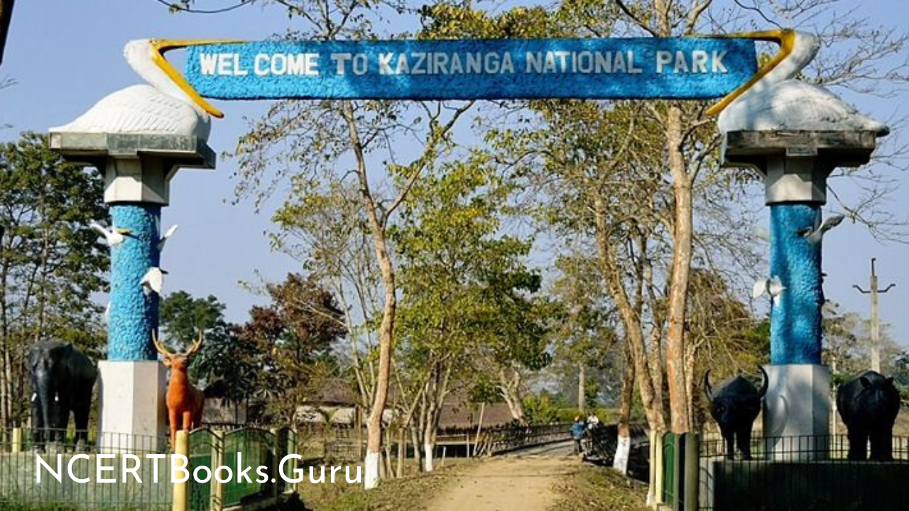 kaziranga national park essay in english pdf