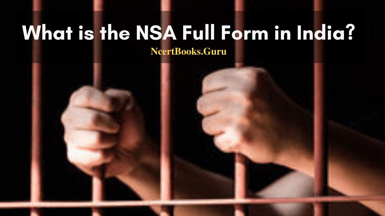 indian NSA full form in hindi