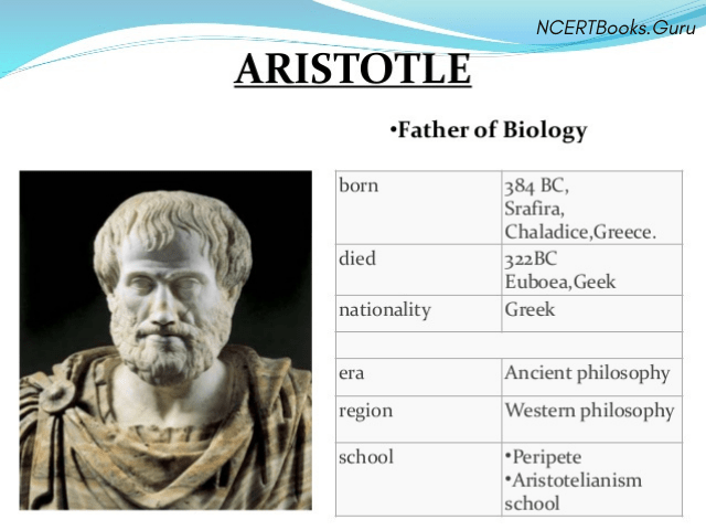 About Aristotle