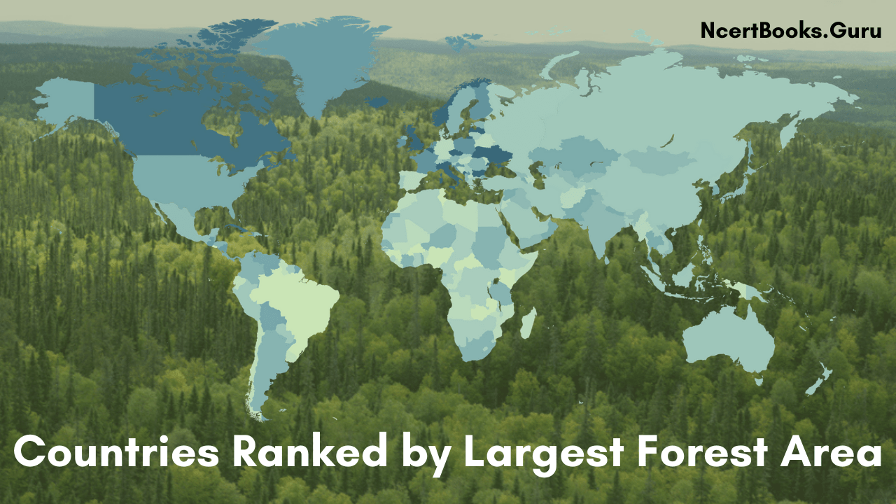 Countries Ranked by Largest Forest Area | Top 10 forest covered countries