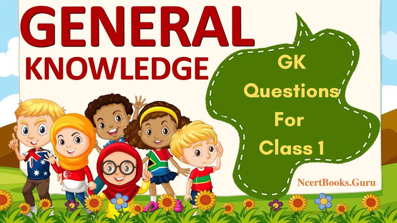 GK questions for Class 1 kids