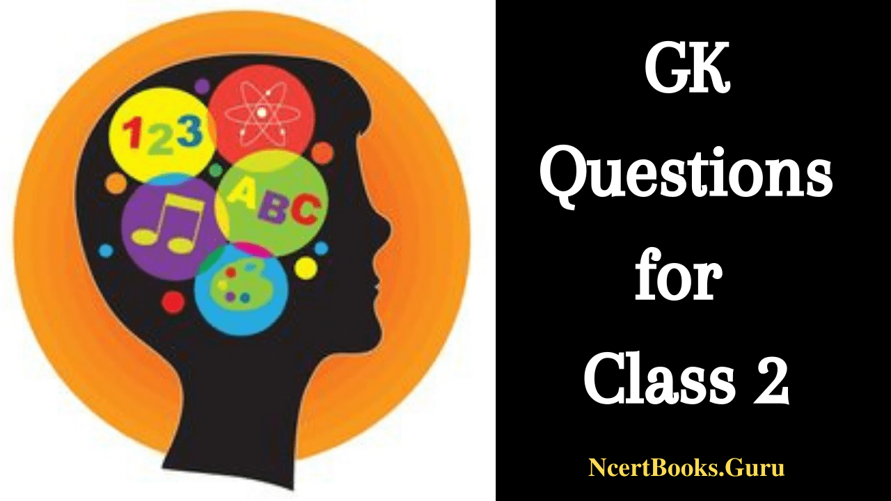 GK questions for class 2