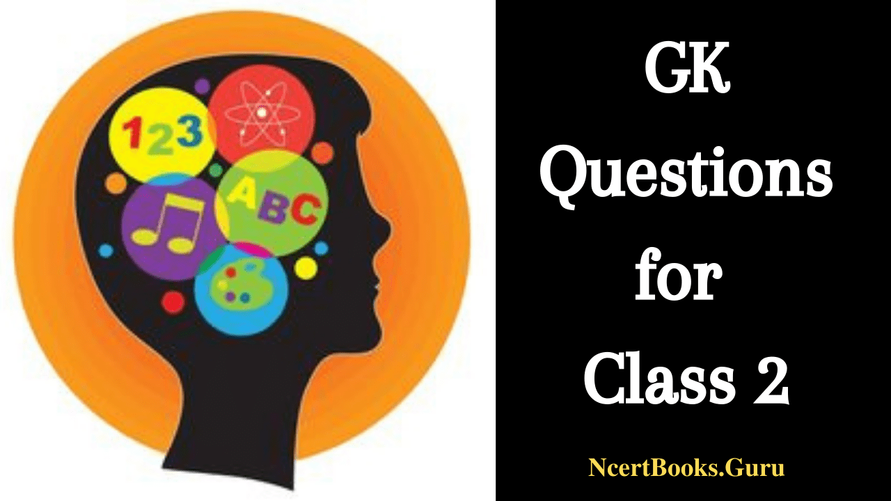 Gk Questions For Class 2 Access List Of Grade 2 Gk Quiz Question Ans