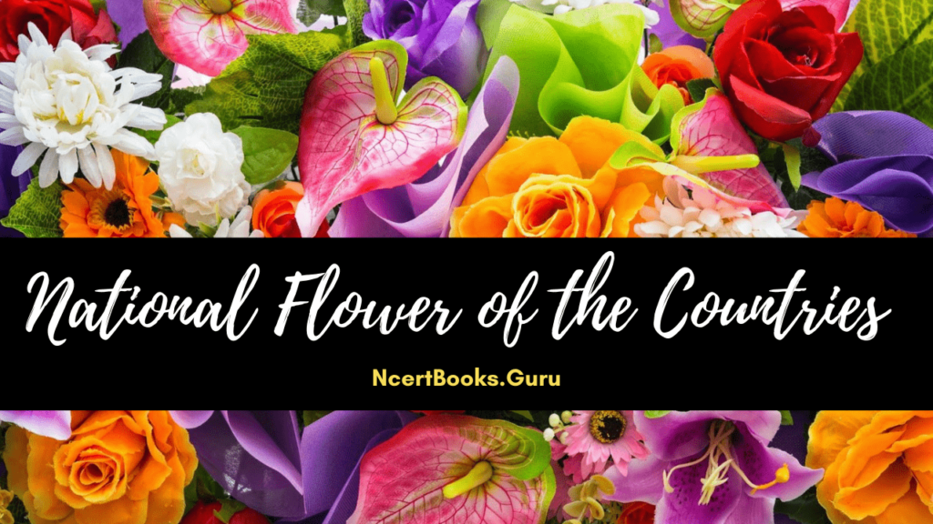 National Flower Of The Countries List