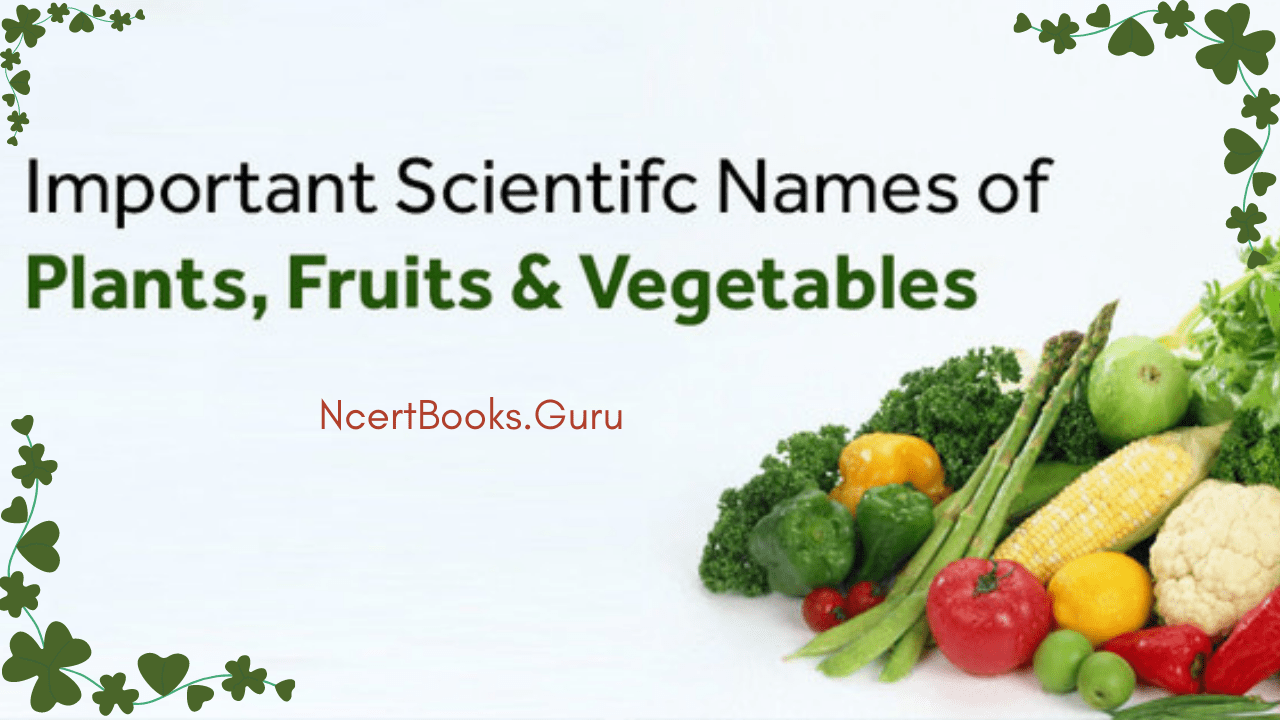 Scientific Names of Plants, Fruits & Vegetables