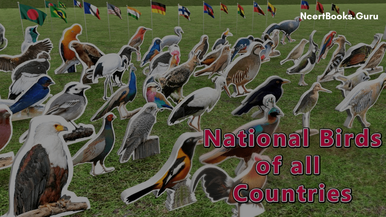 National Birds of all Countries | List of Every Country Official Birds in  World