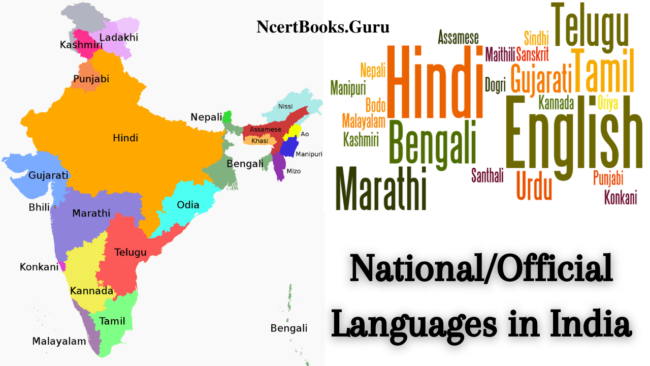 national or official languages in india