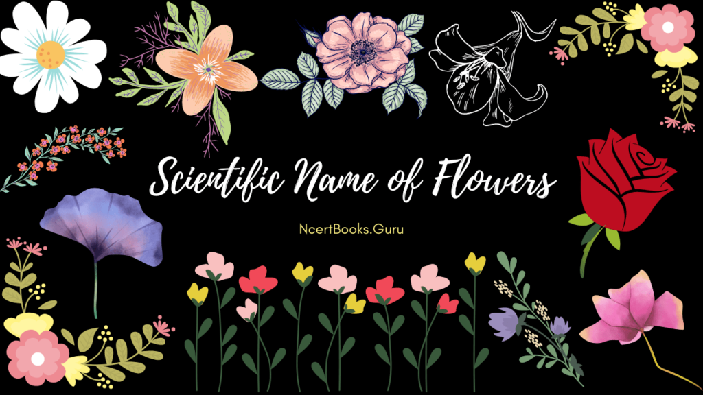 scientific name of flowers