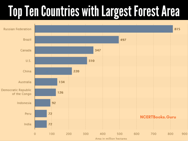top ten countries rank by largest forest cover
