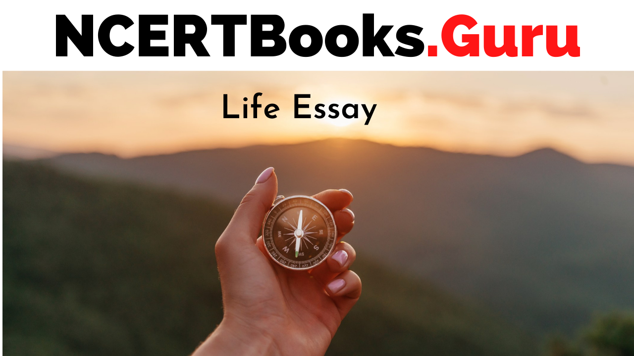 essay on meaning of life in english