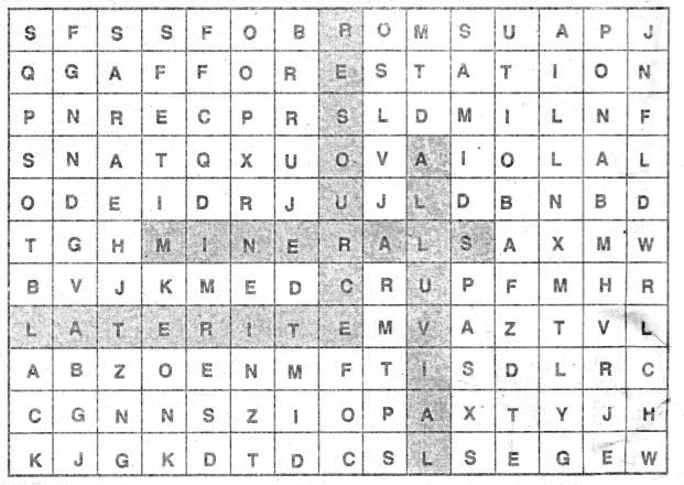 NCERT Solutions for Class 10 Social Science Geography Chapter 1 Resource and Development 3