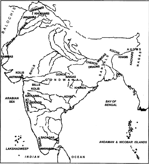 NCERT Solutions for Class 7 Social Science History Chapter 7 Tribes, Nomads and Settled Communities 1