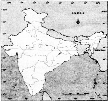 NCERT Solutions for Class 8 Social Science Civics Chapter 1 The Indian Constitution 4