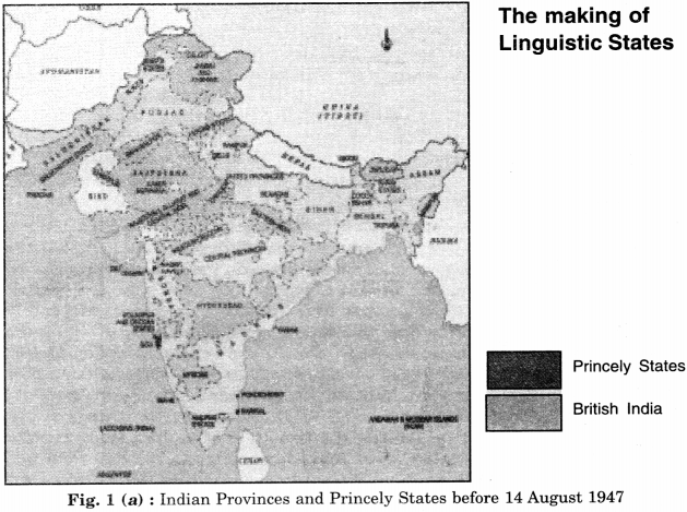 NCERT Solutions for Class 8 Social Science History Chapter 12 India After Independence 1