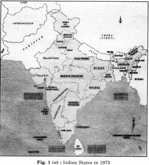 NCERT Solutions for Class 8 Social Science History Chapter 12 India After Independence 3