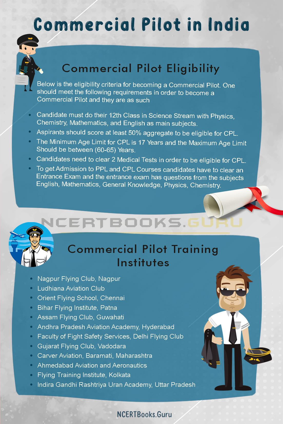 Commercial Pilot in India 1