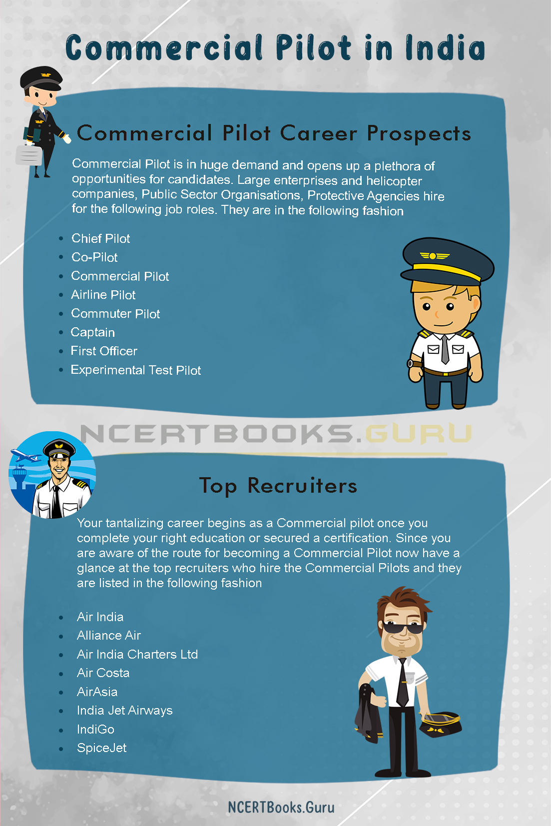 Commercial Pilot in India 2