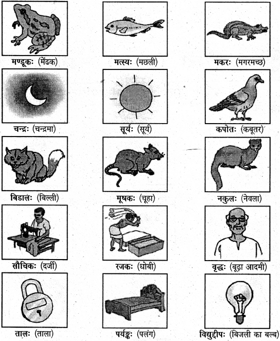 NCERT Solutions for Class 6 Sanskrit Chapter 1 शब्द परिचयः 1 2