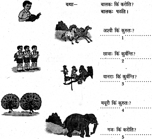 NCERT Solutions for Class 6 Sanskrit Chapter 1 शब्द परिचयः 1 7