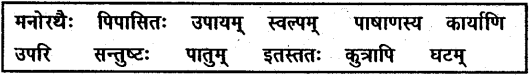 NCERT Solutions for Class 6 Sanskrit Chapter 11 पुष्पोत्सवः 3