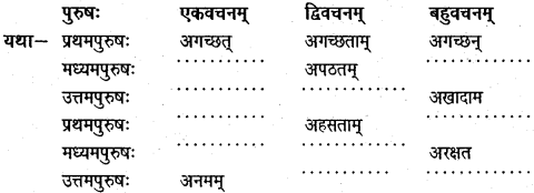 NCERT Solutions for Class 6 Sanskrit Chapter 14 अहह आः च 1