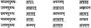 NCERT Solutions for Class 6 Sanskrit Chapter 14 अहह आः च 2