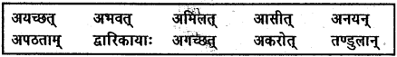 NCERT Solutions for Class 6 Sanskrit Chapter 14 अहह आः च 3