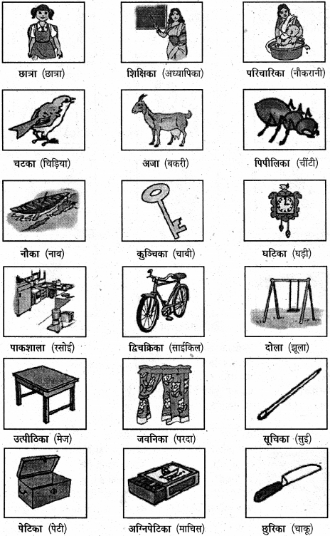 NCERT Solutions for Class 6 Sanskrit Chapter 2 शब्द परिचयः 2 1