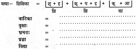 NCERT Solutions for Class 6 Sanskrit Chapter 2 शब्द परिचयः 2 10