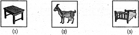 NCERT Solutions for Class 6 Sanskrit Chapter 2 शब्द परिचयः 2 11