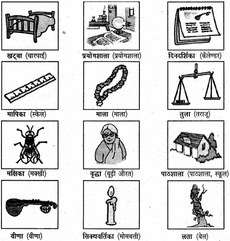 NCERT Solutions for Class 6 Sanskrit Chapter 2 शब्द परिचयः 2 2